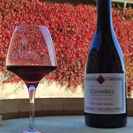 La Maison Du Jeune Vigneron Chiroubles